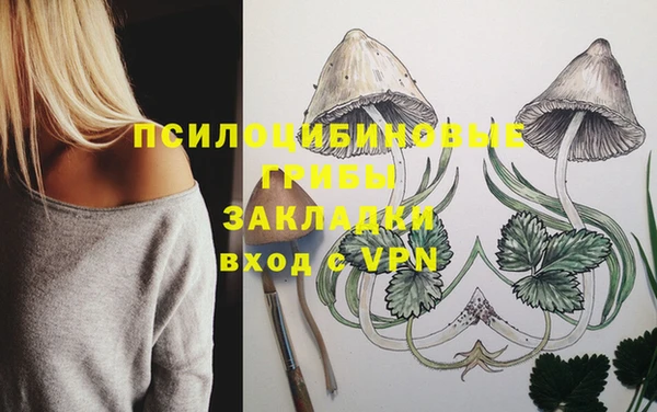 MESCALINE Осинники