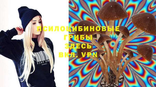 меф Пересвет